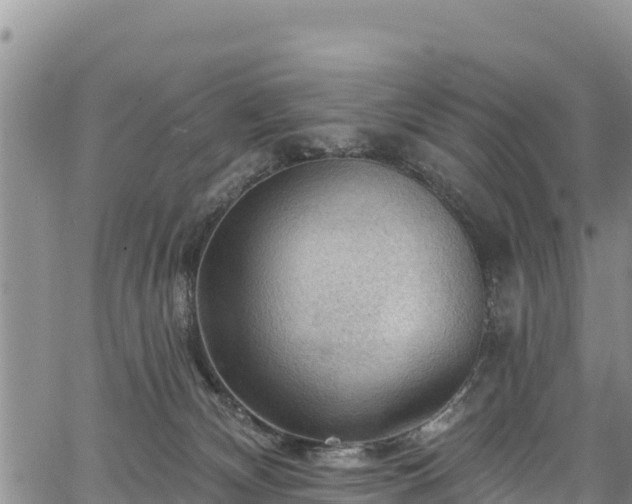 X0000067510132200604101305