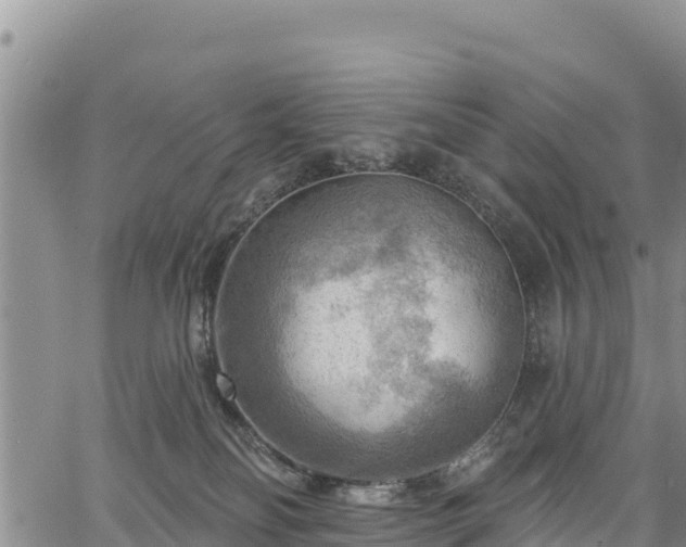 X0000067510134200604101305