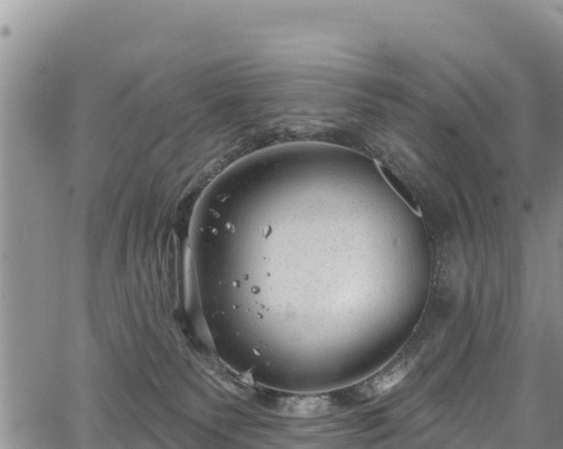 X0000067510135200604101305