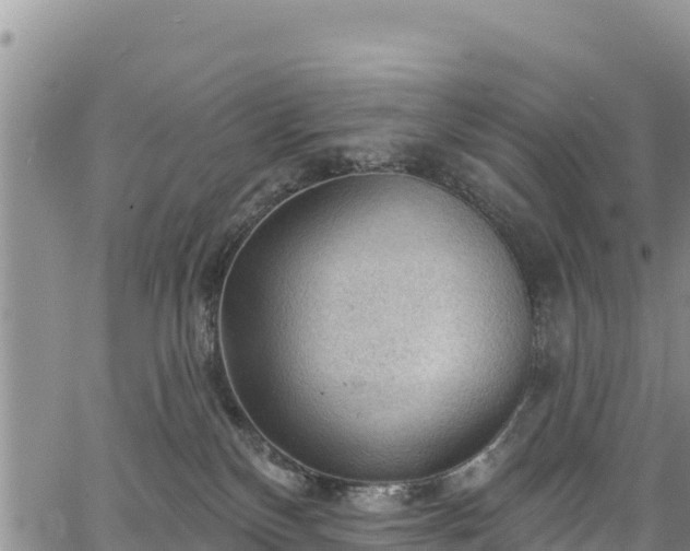 X0000067510136200604101305