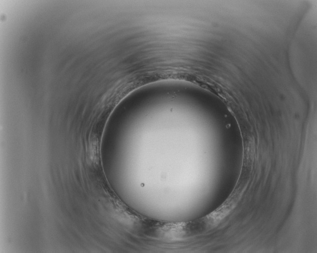 X0000067510138200604101305