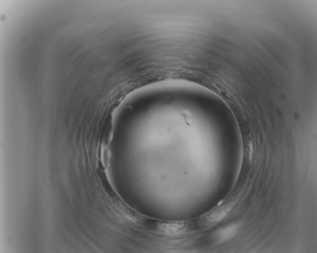 X0000067510139200604101305