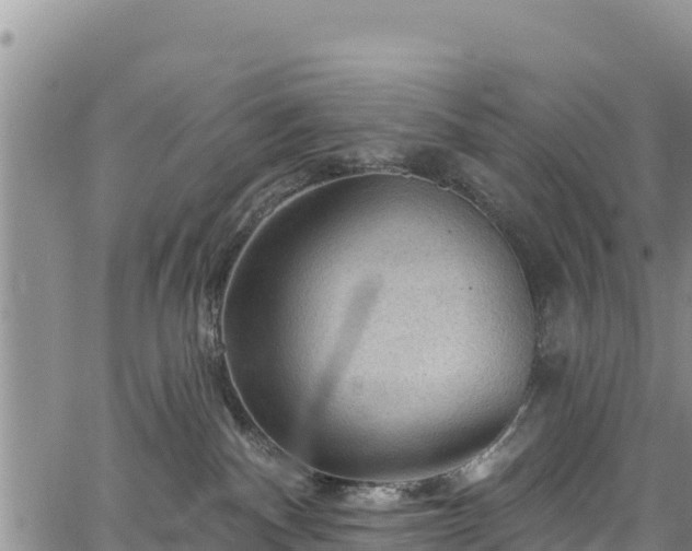 X0000067510140200604101305