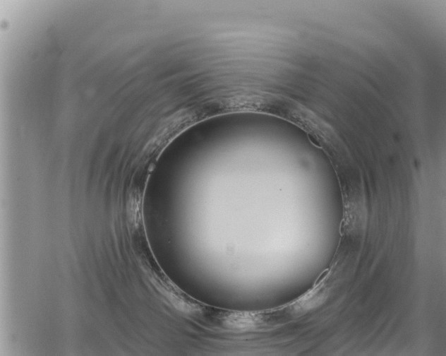 X0000067510142200604101305