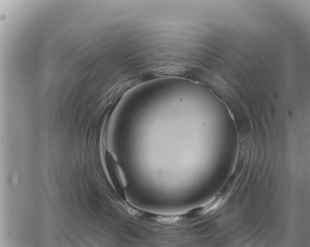 X0000067510143200604101305