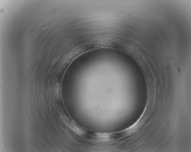 X0000067510144200604101305