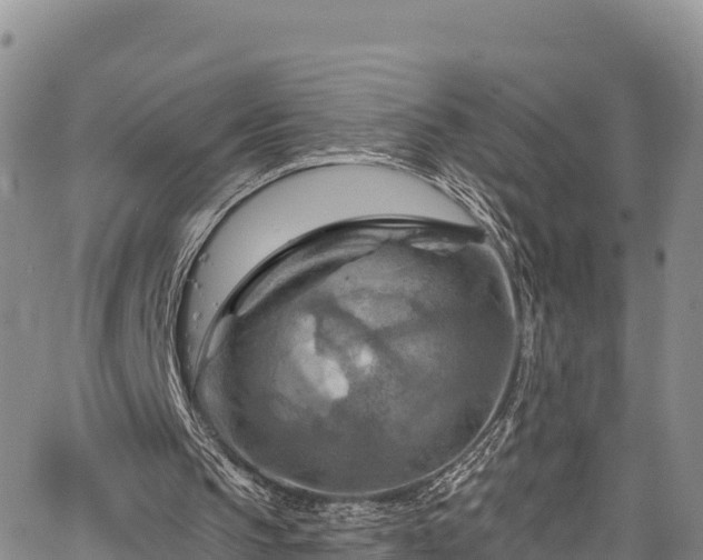 X0000067510145200604101304