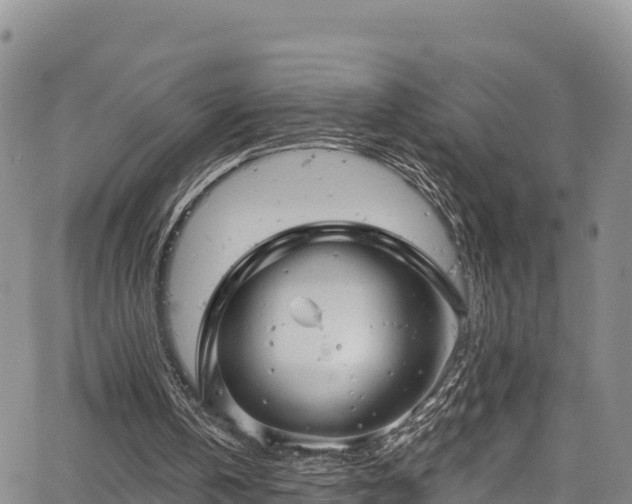 X0000067510146200604101304