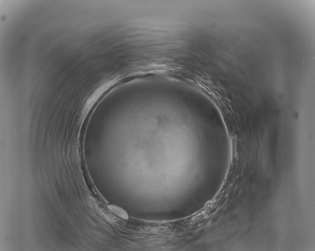 X0000067510147200604101304