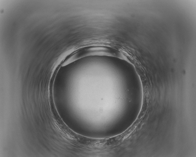 X0000067510148200604101304