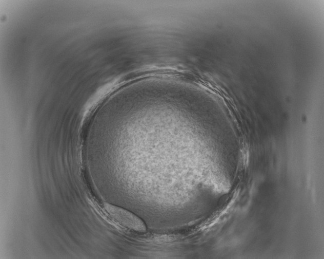 X0000067510149200604101304