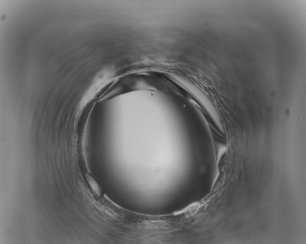 X0000067510150200604101304