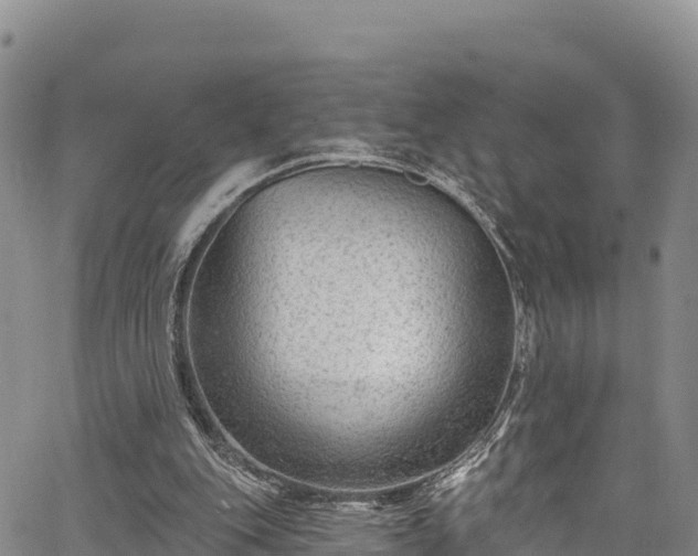 X0000067510151200604101304