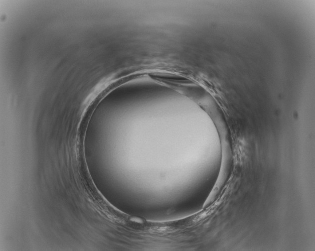 X0000067510152200604101304