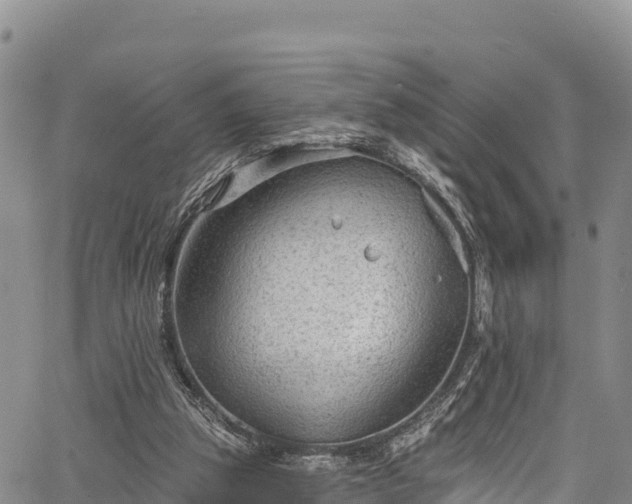 X0000067510153200604101304