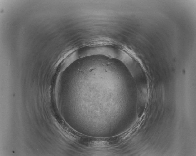 X0000067510154200604101304