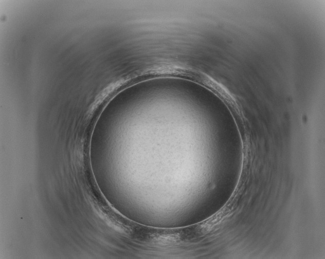 X0000067510155200604101304