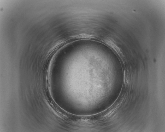 X0000067510157200604101304