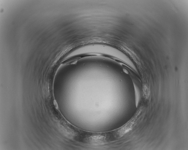 X0000067510158200604101304