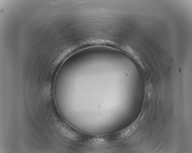 X0000067510159200604101304