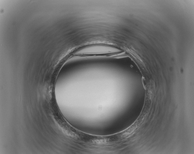 X0000067510160200604101304