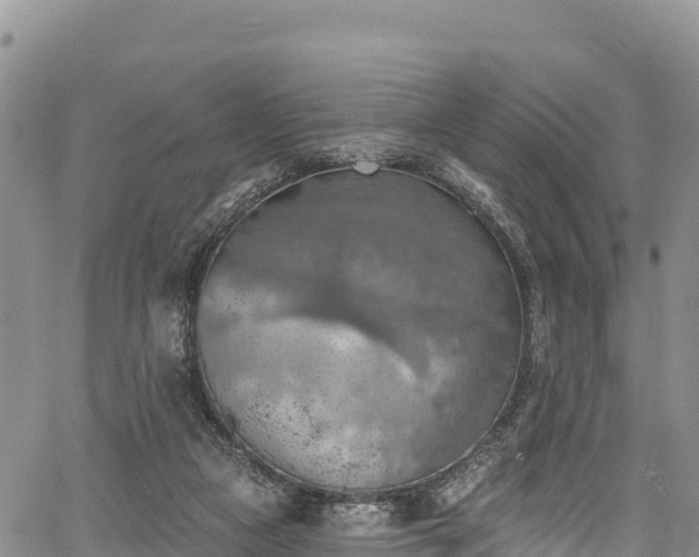 X0000067510161200604101304