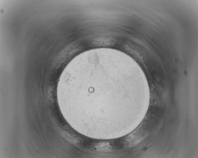 X0000067510162200604101304