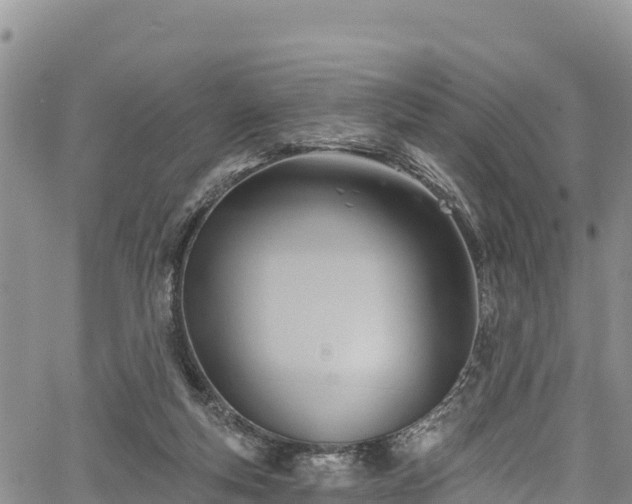 X0000067510163200604101304