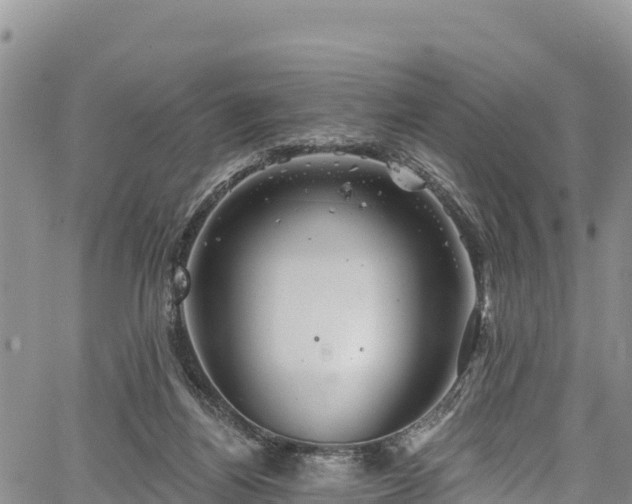 X0000067510164200604101304