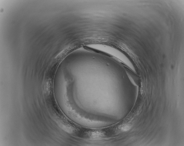 X0000067510165200604101304