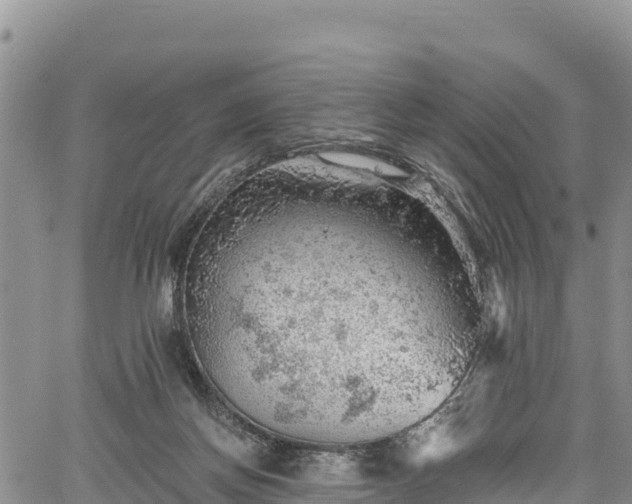 X0000067510166200604101304