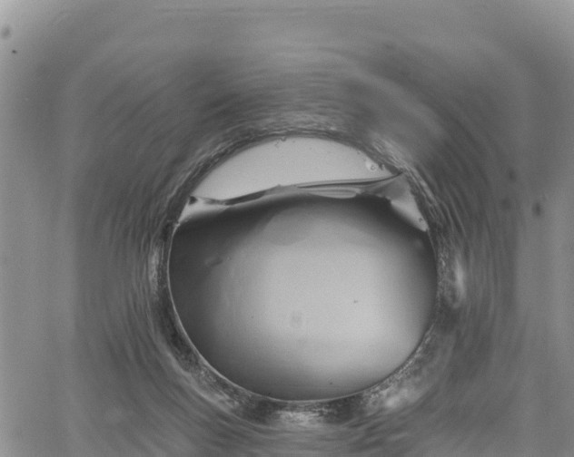 X0000067510167200604101304