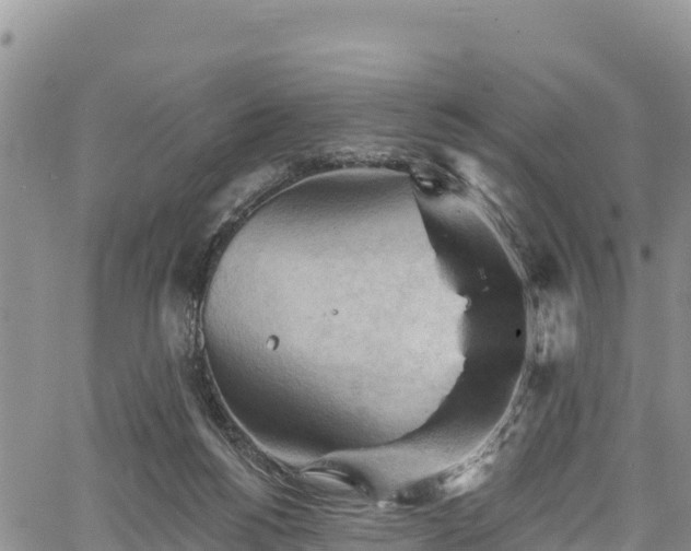 X0000067510168200604101304