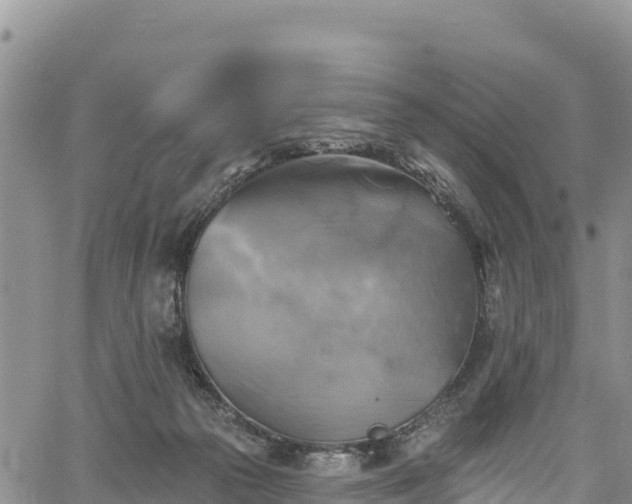 X0000067510169200604101304