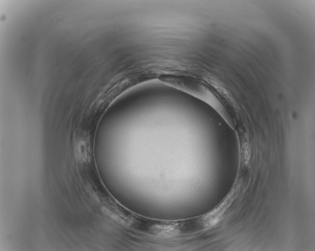 X0000067510170200604101304