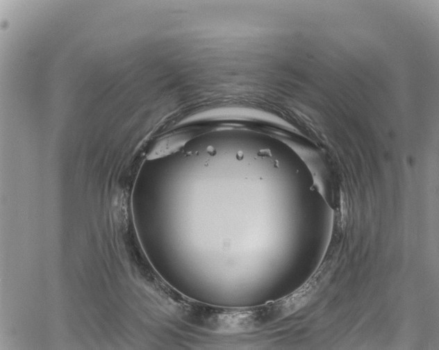 X0000067510172200604101305