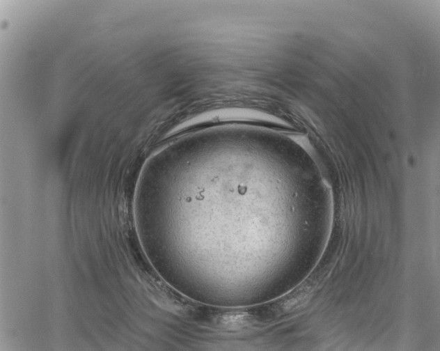 X0000067510173200604101305