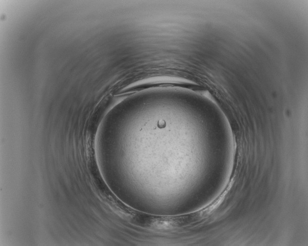 X0000067510174200604101305