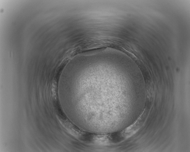 X0000067510175200604101305