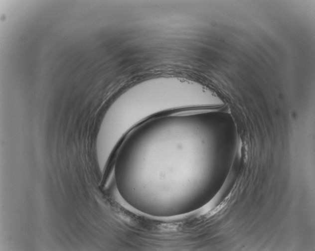 X0000067510176200604101305