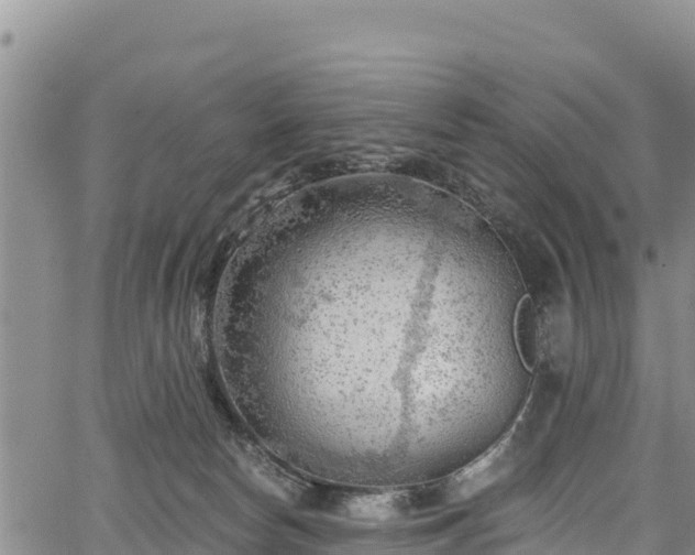 X0000067510178200604101305