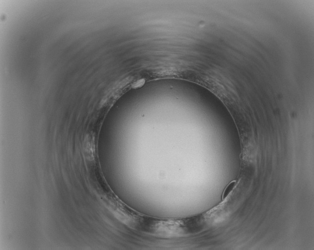 X0000067510179200604101305