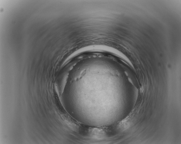 X0000067510180200604101305