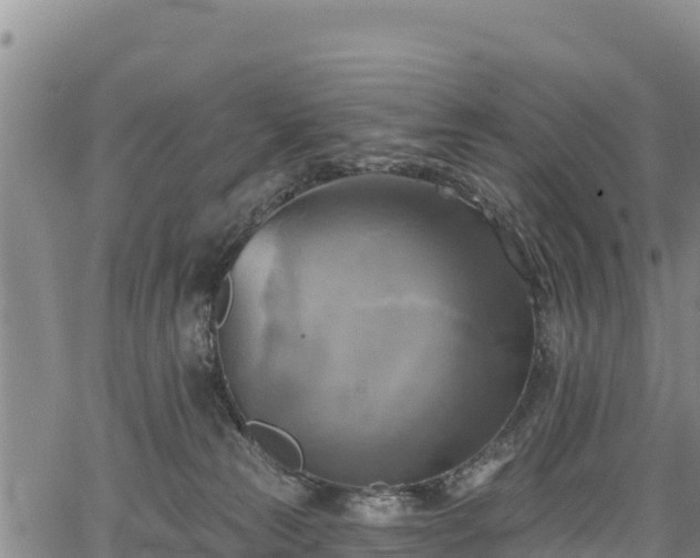 X0000067510181200604101305