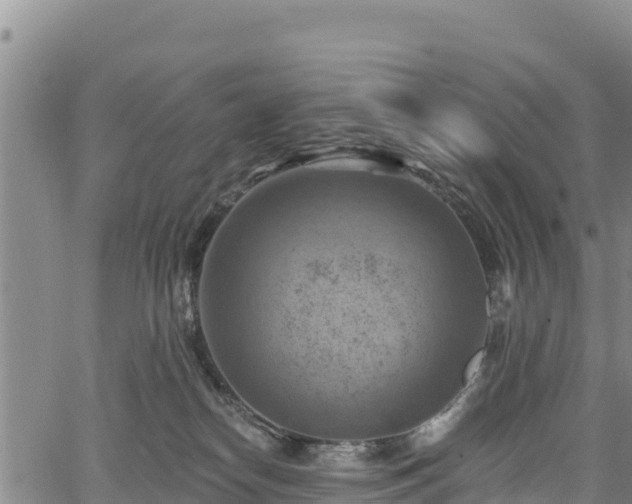 X0000067510182200604101305