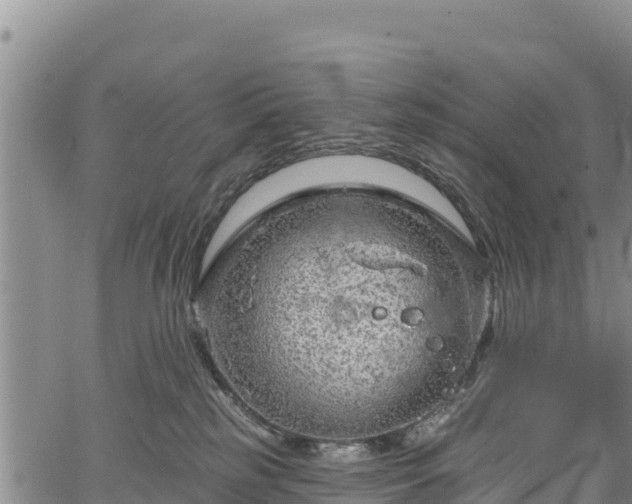 X0000067510185200604101305