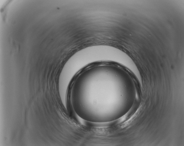 X0000067510187200604101305