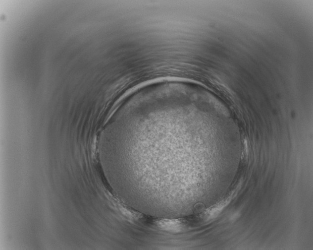 X0000067510189200604101305