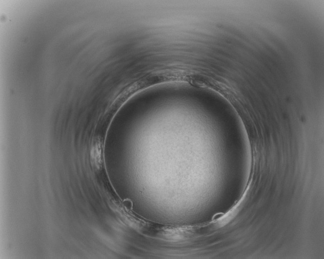 X0000067510190200604101305