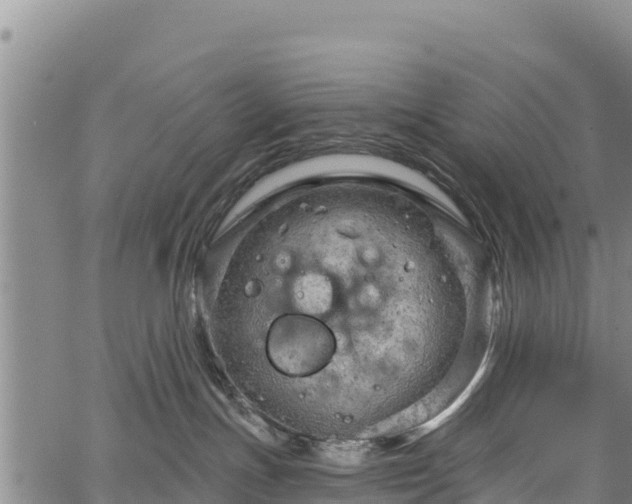 X0000067510191200604101305